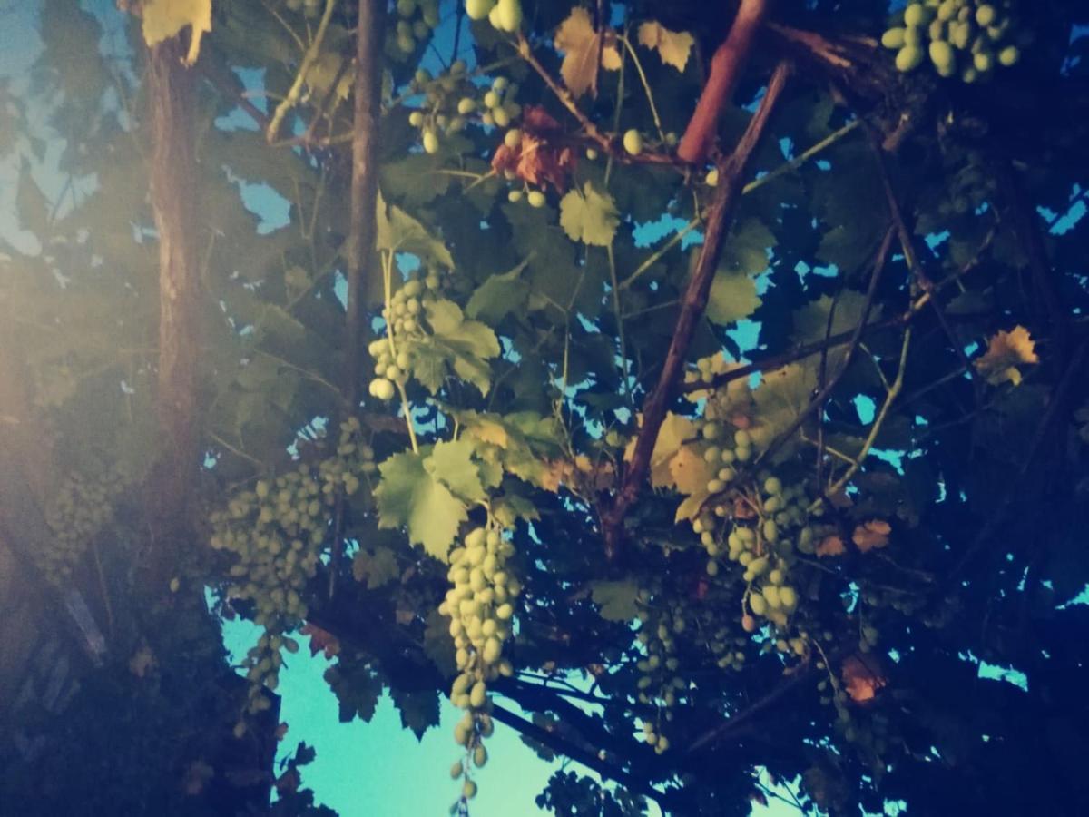 Casetta Nel Podere Di Massi Барберино ди Мугело Екстериор снимка